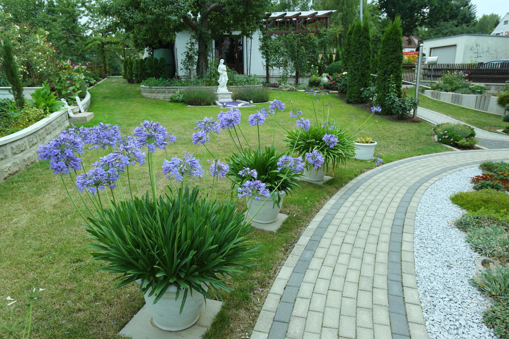 Pension Clajus ไวมาร์ ภายนอก รูปภาพ